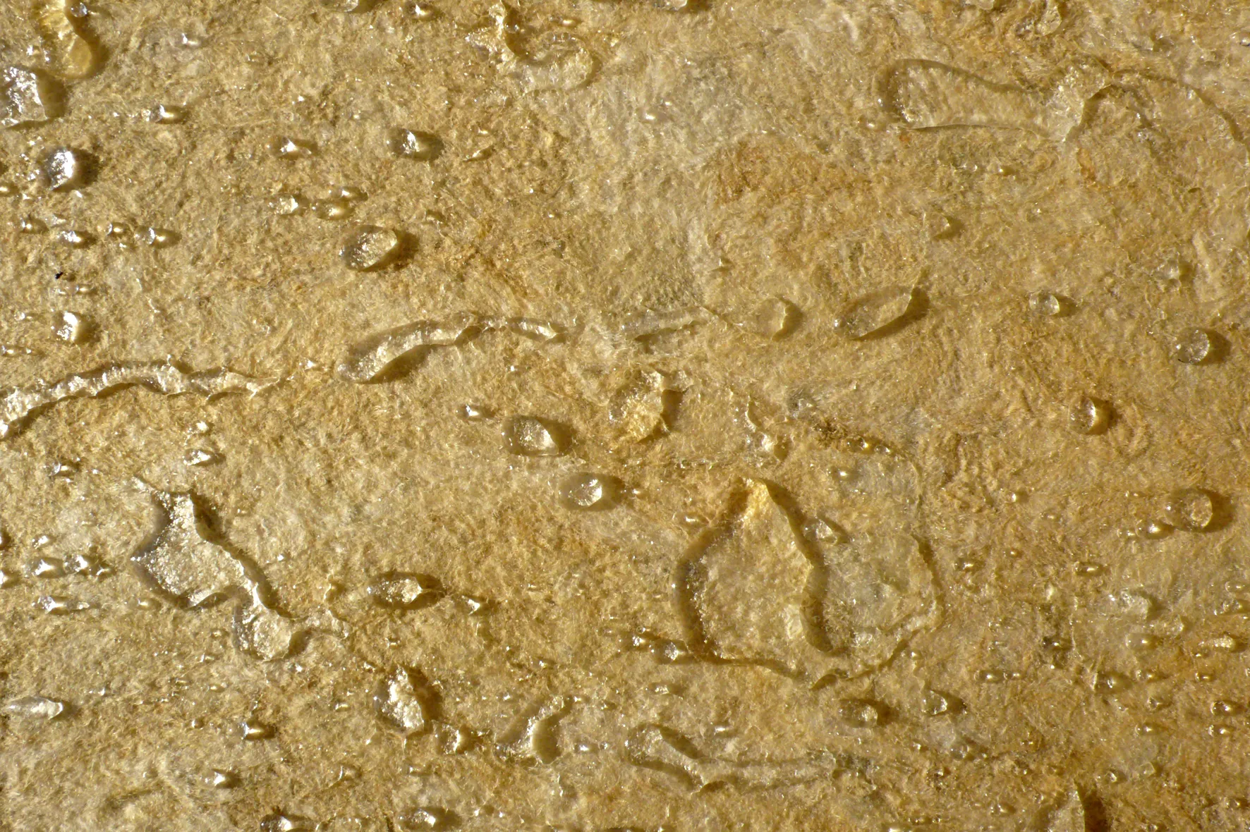 Исследования ГБУ «ЦЭИИС» подтвердили высокий уровень гидрофобности теплоизоляции ROCKWOOL