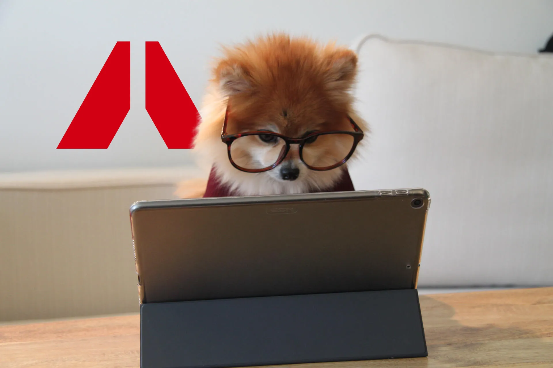 Встречайте весну с Онлайн-Университетом ROCKWOOL: новые вебинары уже в марте