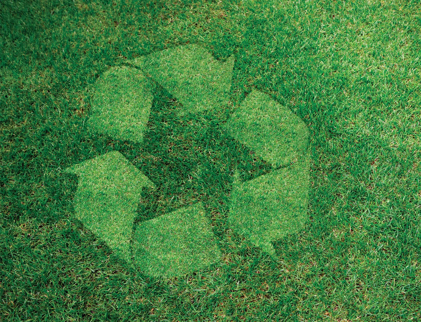 Компания ROCKWOOL подтвердила абсолютную экологичность выпускаемой продукции