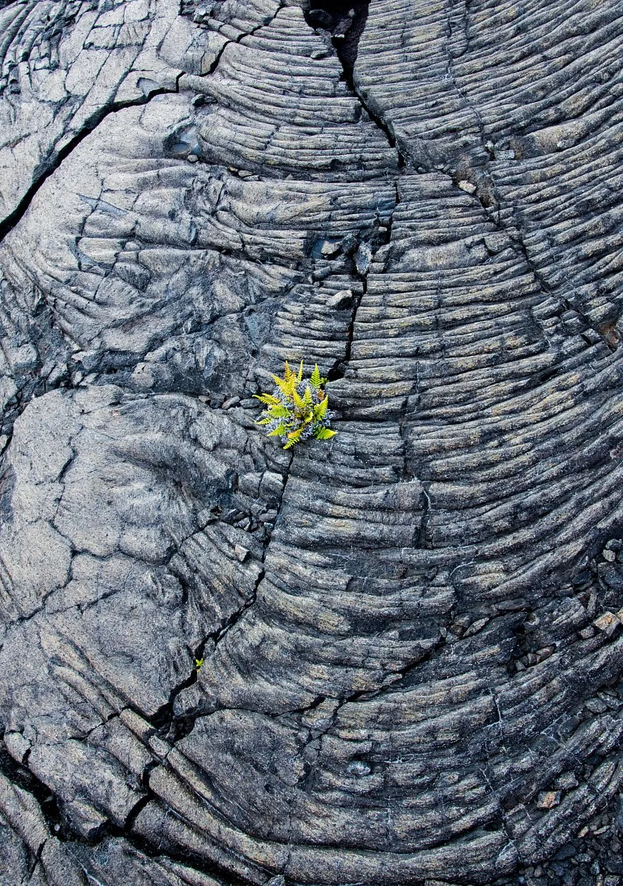 7 преимуществ камня, серия увлекательных экспериментов