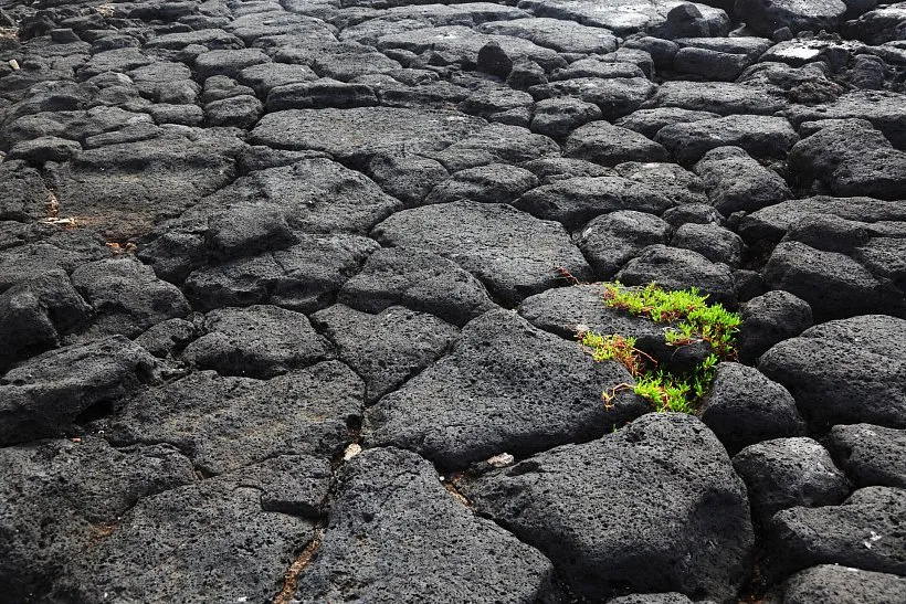Разница между «слабогорючей» изоляцией_4