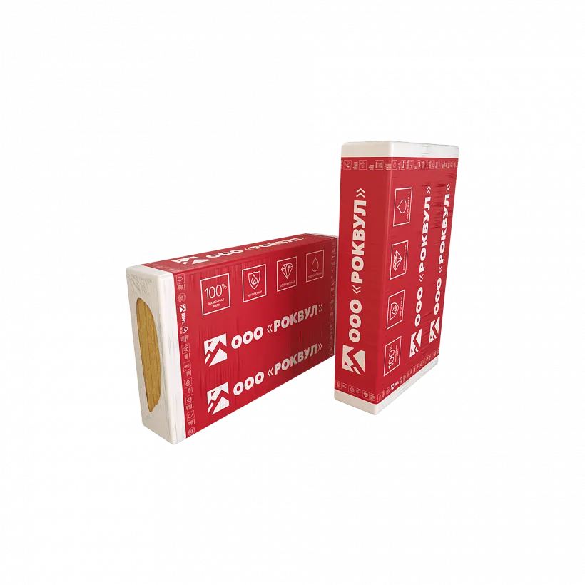 РУФ БАТТС В ЭКСТРА_6