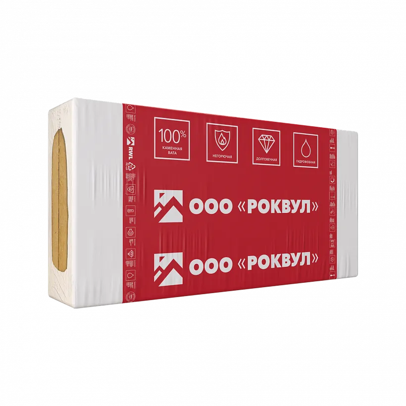 РУФ БАТТС Д ГИГА_10