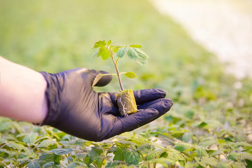 Инновации, которые улучшают жизнь