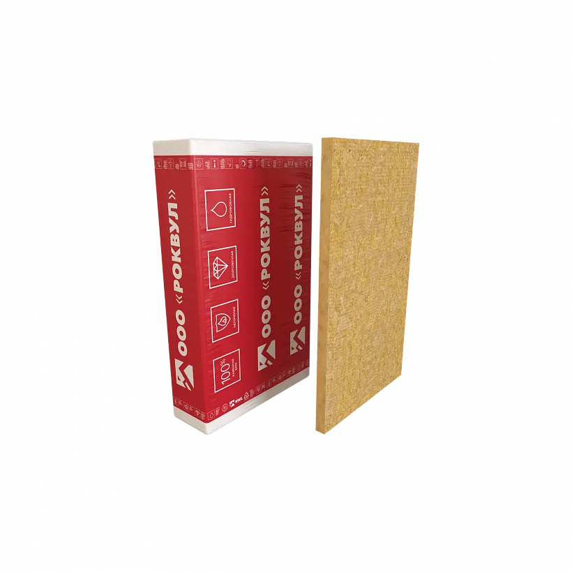 РУФ БАТТС В ЭКСТРА_5