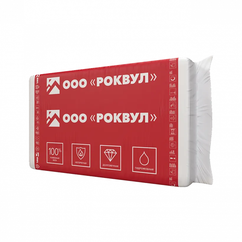 КАРКАС БАТТС_10