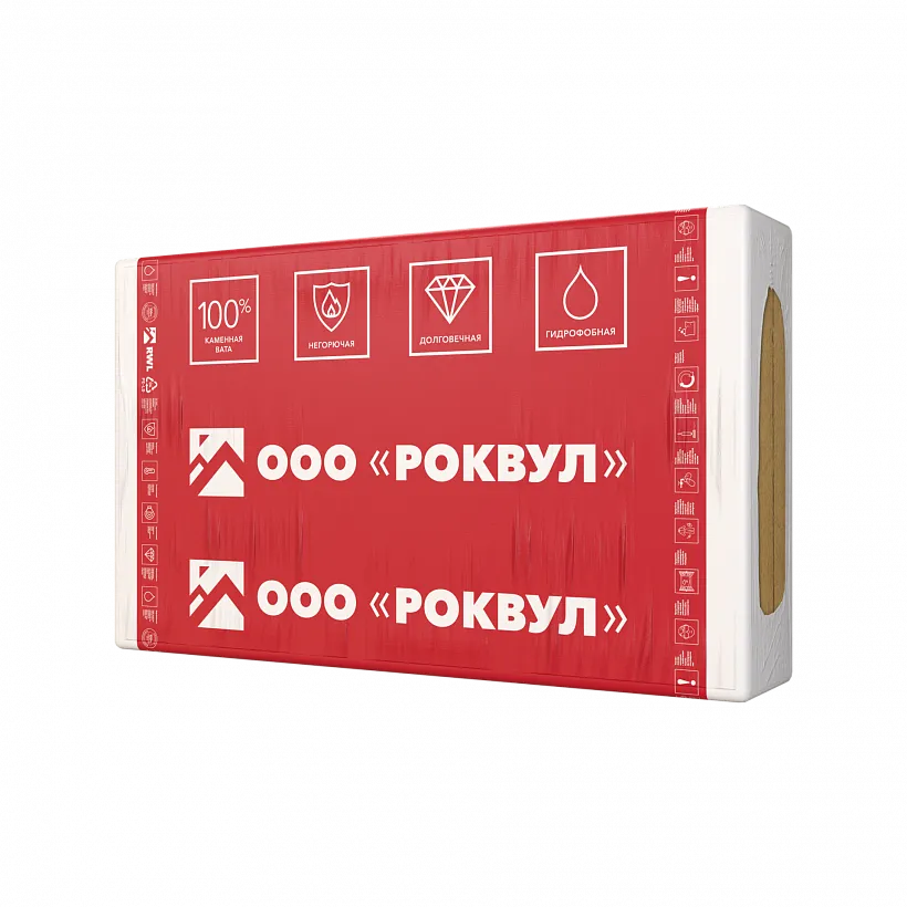 РУФ БАТТС СТЯЖКА_8