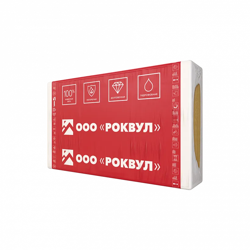 РУФ БАТТС В ЭКСТРА_10